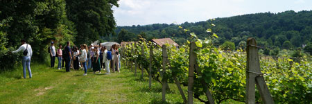 Students' field trip to the Jagiellonian University vineyard and the Okocim brewery